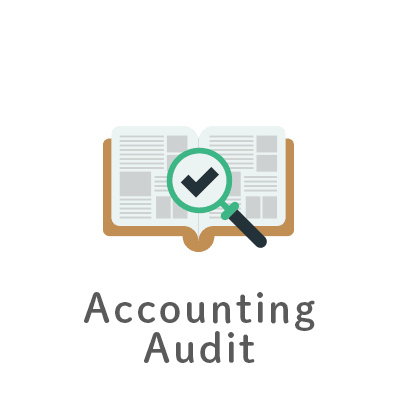 Accounting Audit